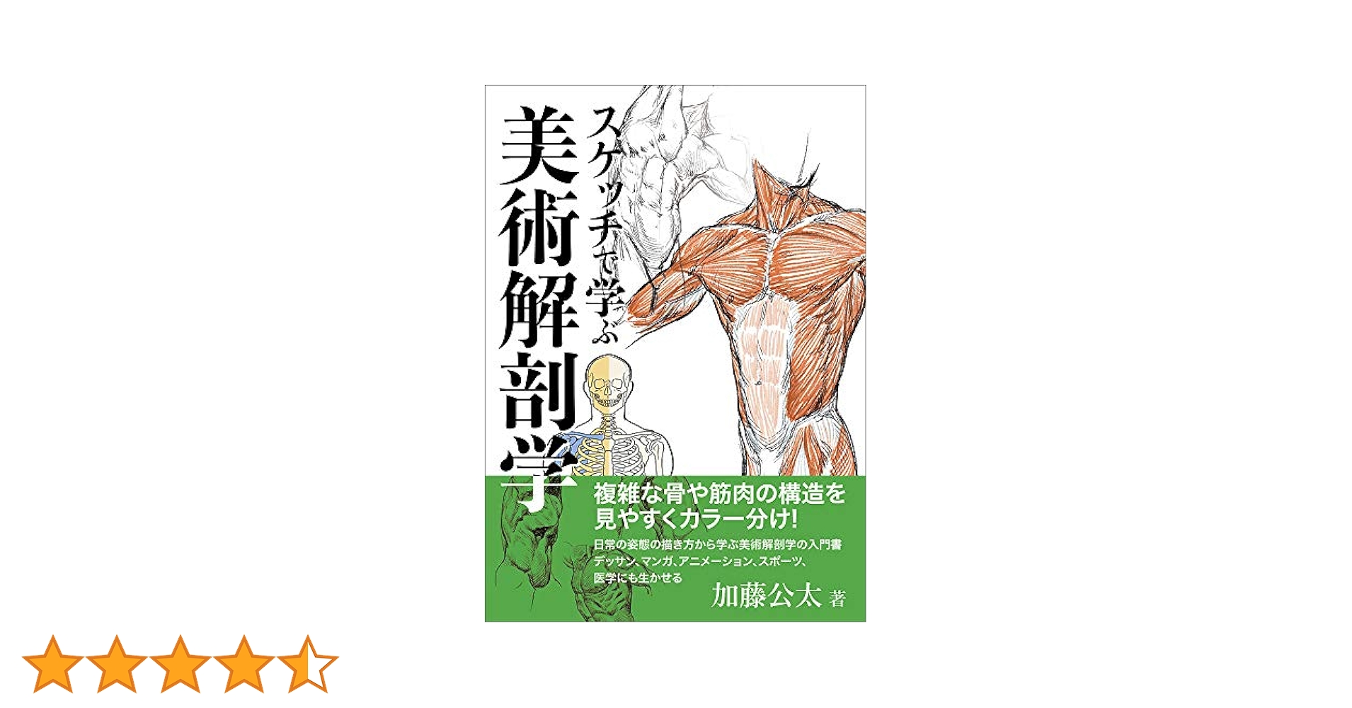 イラストで学ぶ美術解剖学 スケッチで学ぶ美術解剖学 加藤 公太(文・絵) - 玄光社 | 版元